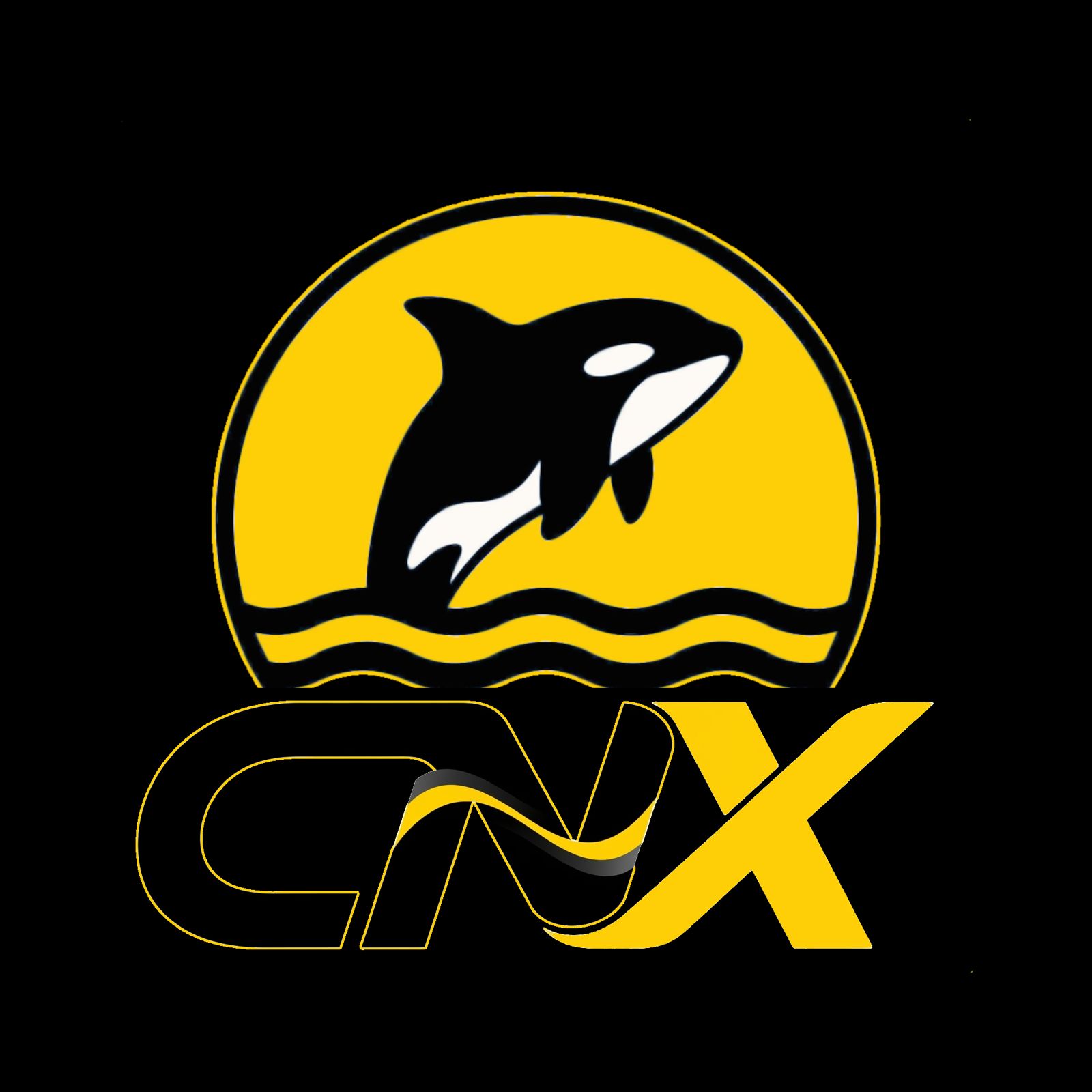 Club Natación de Xirivella